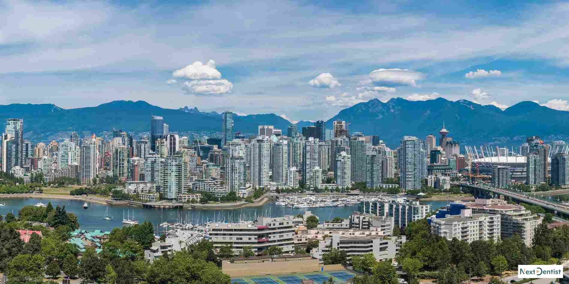 Abbotsford dental SEO services