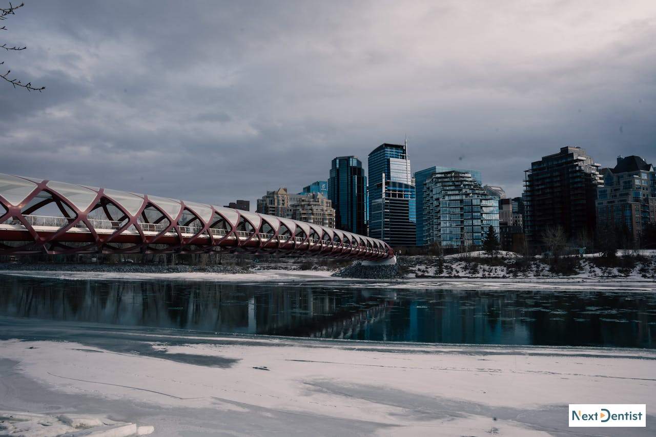 Calgary dental SEO services