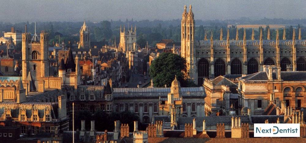 Cambridge dental SEO services