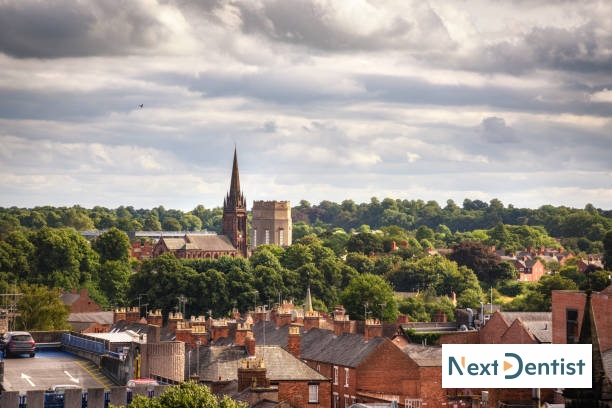 Chester dental SEO services