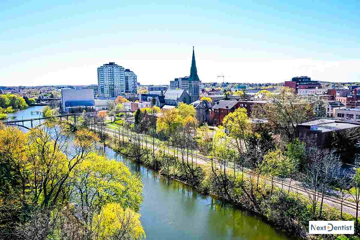 Guelph dental SEO services