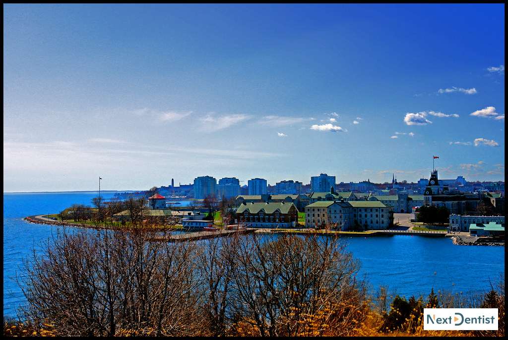 Kingston dental SEO services