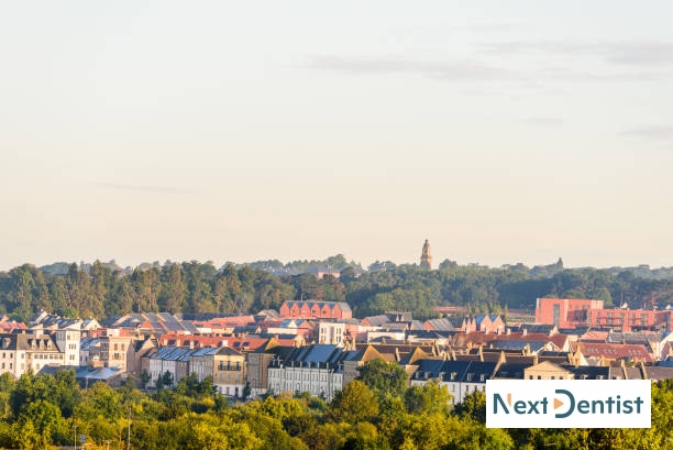 Northampton dental SEO services