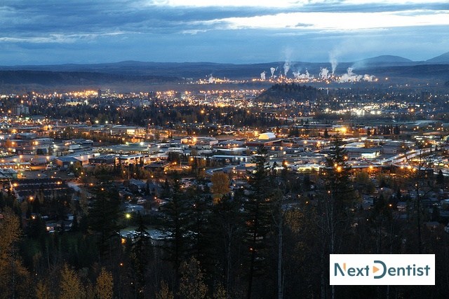 Prince George dental SEO services