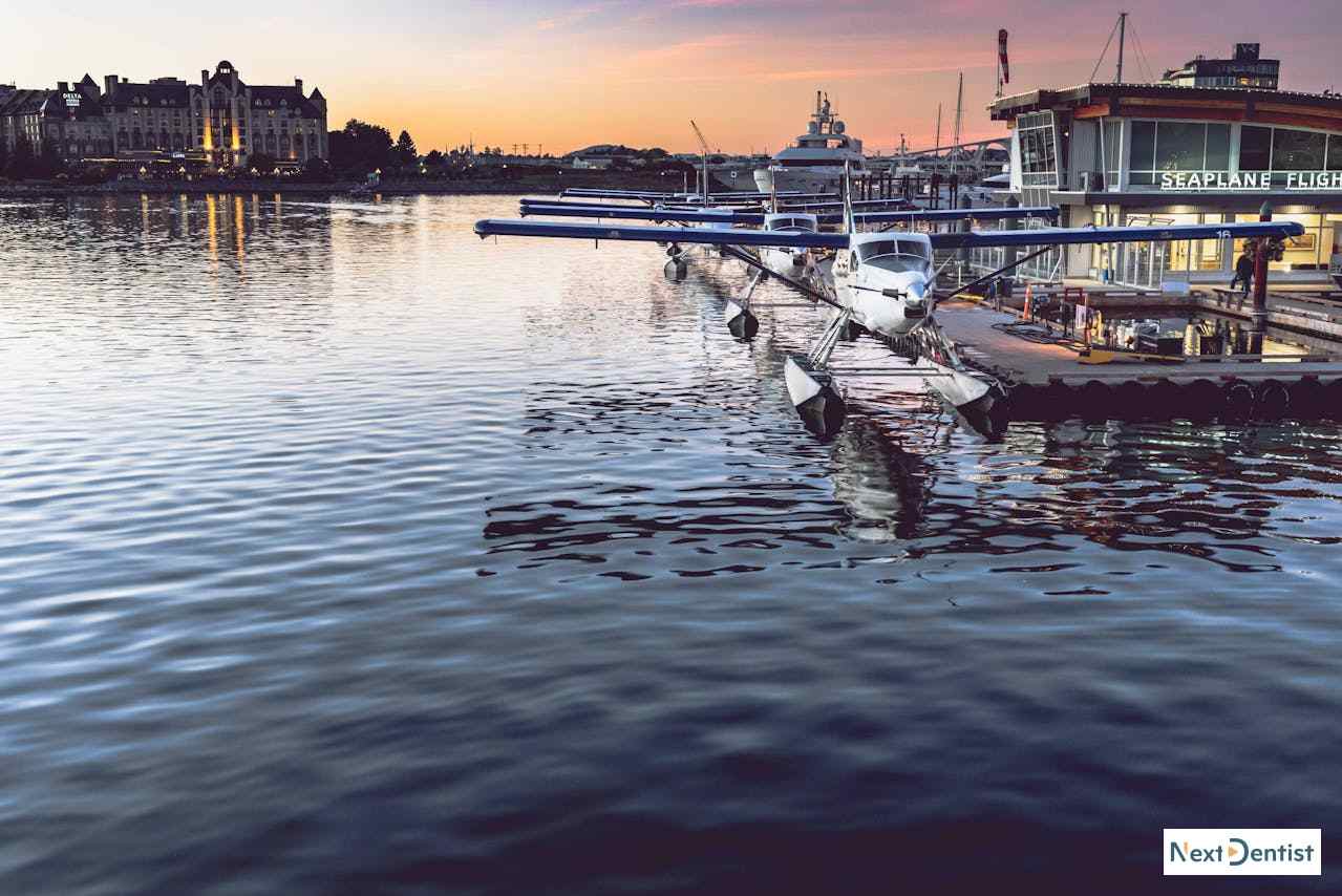 Victoria dental SEO services