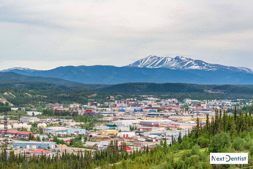 Whitehorse dental SEO services